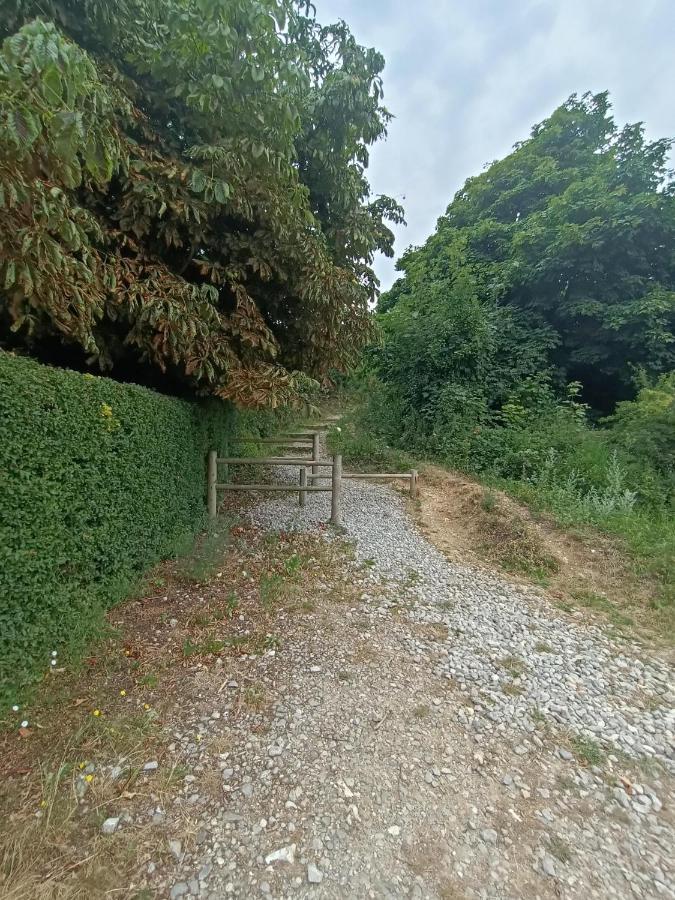 Agreable Maison 3* En Bord De Mer Dieppe Zewnętrze zdjęcie