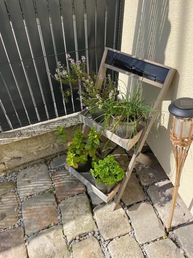 Agreable Maison 3* En Bord De Mer Dieppe Zewnętrze zdjęcie